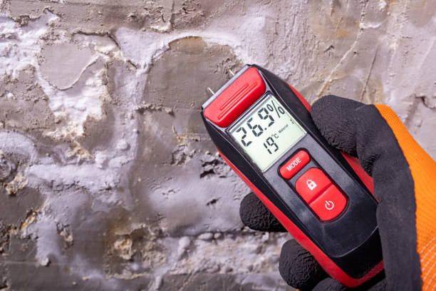 Best Certified Mold Removal  in Peoria, IL