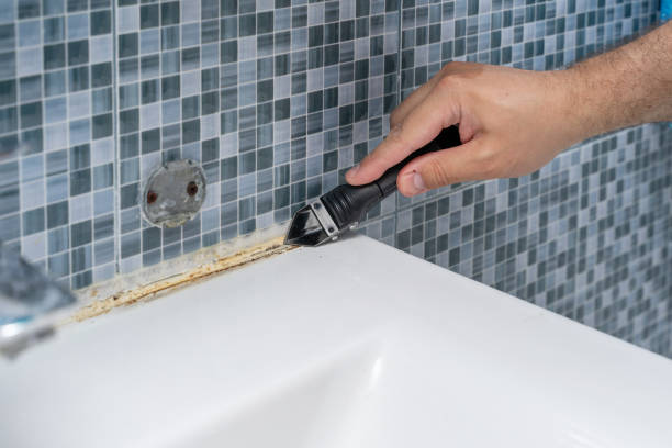 Best Mold Testing  in Peoria, IL